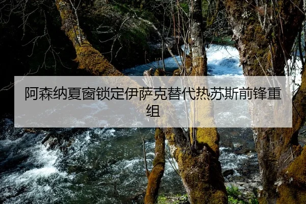 阿森纳夏窗锁定伊萨克替代热苏斯前锋重组