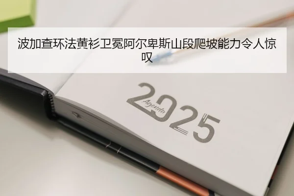 bo-jia-cha-huan-fa-huang-shan-wei-mian-a-er-bei-si-shan-duan-pa-po-neng-li-ling-ren-jing-tan-2-182.jpg