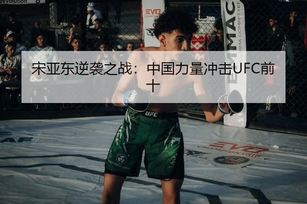 song-ya-dong-ni-xi-zhi-zhan-zhong-guo-li-liang-chong-ji-qian-shi-3-221.jpg