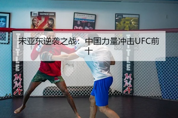 宋亚东逆袭之战：中国力量冲击UFC前十