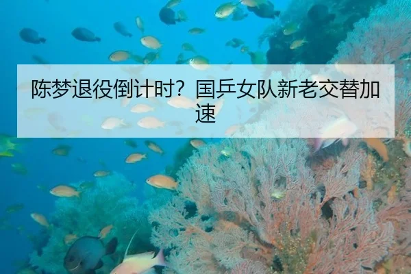 陈梦退役倒计时？国乒女队新老交替加速