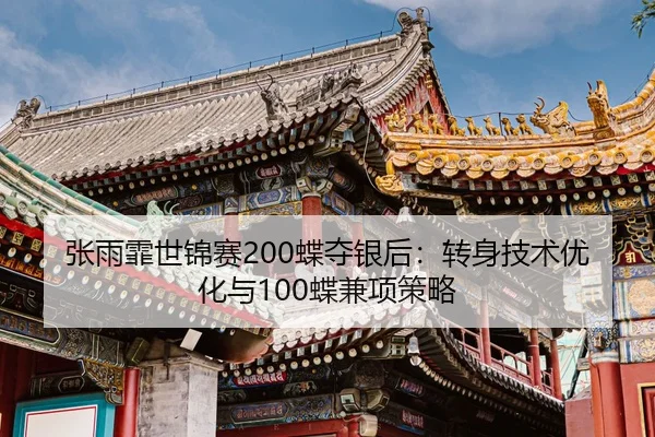 zhang-yu-fei-shi-jin-sai-die-duo-yin-hou-zhuan-shen-ji-shu-you-hua-yu-die-jian-xiang-ce-lve-2-571.jpg