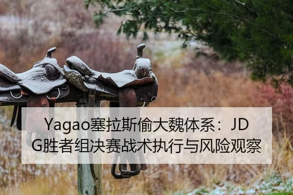 Yagao塞拉斯偷大魏体系：JDG胜者组决赛战术执行与风险观察